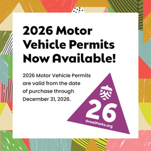 Annual MVP - Resident