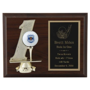 Hole In One Plaque