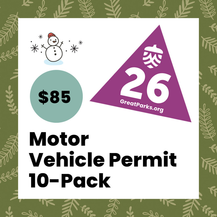 MVP 10 pack gift image