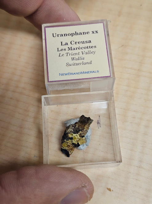 Uranophane Crystal Thumbnail – La Creusa, Les Marécottes, Wallis, Switzerland – Radioactive Uranium Mineral