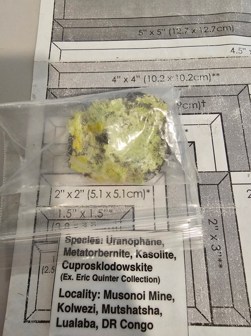 Uranophane Metatorbernite Kasolite Cuprosklodowskite