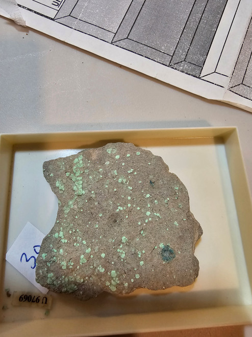 Metatorbernite