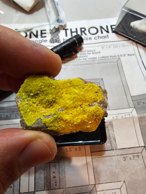 Autunite