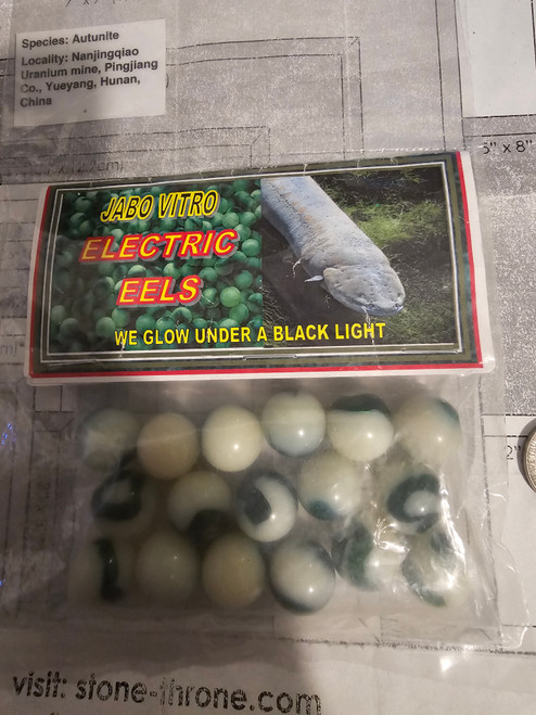 JABO vitro electric eels
