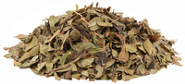 Uva Ursi Leaves Cut, 16 oz (Arctostaphylos uva ursi)