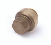 SharkBite 1/2" Brass Push-Fit End Cap / End Stop (Lead Free) SharkBite 1/2" Brass Push-Fit End Cap / End Stop (Lead Free)
