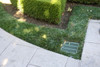 NDS Square Plastic Grate for 12" Basin - Green (Each) NDS Square Plastic Grate for 12" Basin - Green (Each)