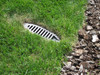4" PVC Sch. 40 Mitered Drain w/Green HDPE Grate