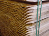 2" x 2" x 48" Hardwood Stake