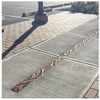 Iron Age Raw Cast Iron Minnione Grate 5" for ABT, ACO, MEA Iron Age Raw Cast Iron Minnione Grate 5" for ABT, ACO, MEA