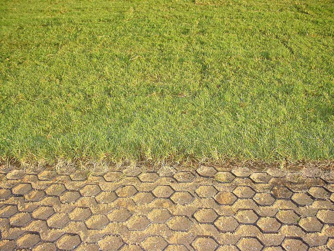 Static Grass 3/16 Inch 4mm — Pasture Grass .7oz 20g