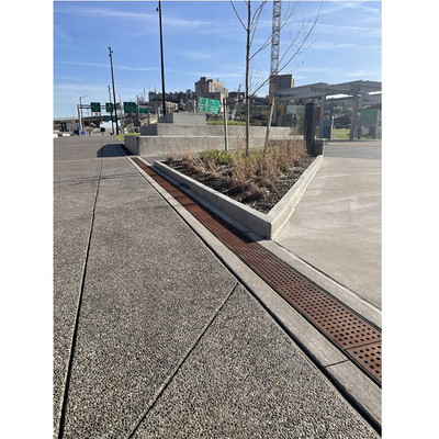 Iron Age Raw Cast Iron 8" NDS Pro Series Grid Grate