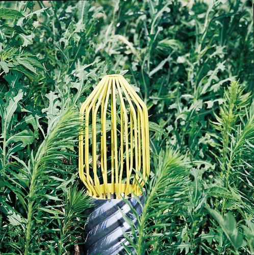 Prevent Plugs; Style + Strength