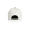 frame-two-tone-cap-natural/cypress-back