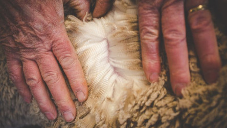 Merino Wool Socks: The Ultimate Comfort for Your Feet