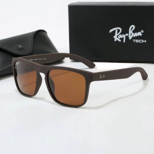 Ray-Ban Justin Classic Sunglasses in Matte Brown Shades