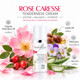 Rose Caresse Tenderness Cream | Dry Sensitive Skin 2