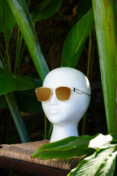 Sunglasses - Instyle POP8182