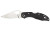 Spyderco Byrd Meadowlark 2 Folding Knife | Pocket Clip | Black | BY04PSBK2