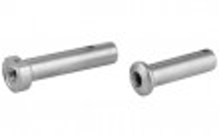 2A Armament Titanium Takedown Pins | 556 2A Armament Titanium Takedown Pins | 556