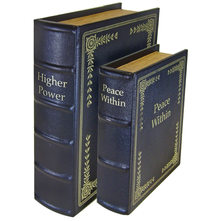 PS Products Diversion Book Set |1 Medium / 1 Large | Blue | DB2BLK