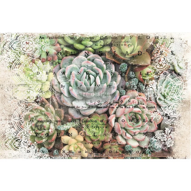 Tissue Paper for Decoupage, ZURI, Redesign with Prima Decoupage Paper,  Succulents - The Plaster Paint Company, LLC