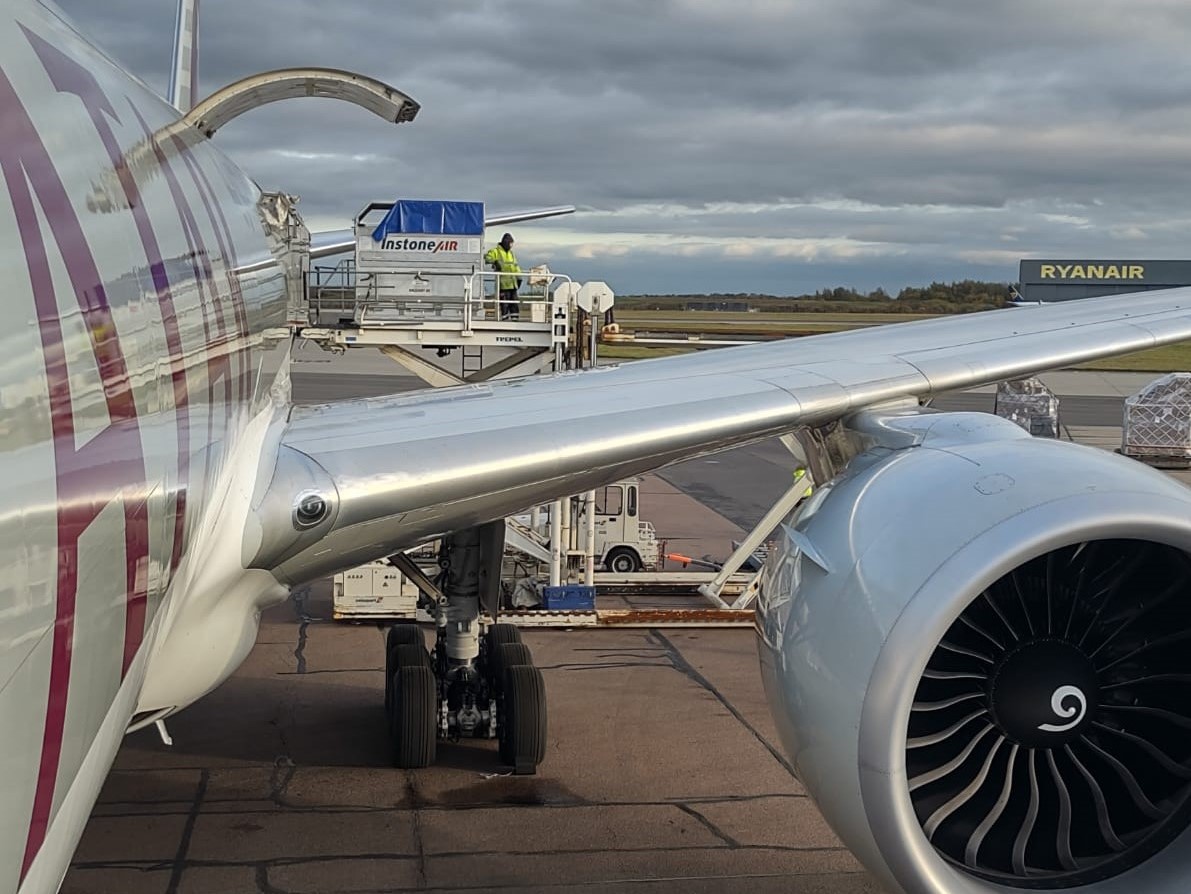 Equine Import & Export