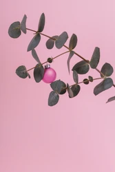 Can glass baubles only be hung on a Christmas tree?