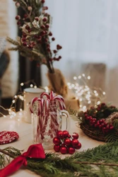 What to remember while preparing for the holidays Essential items on the Christmas checklist