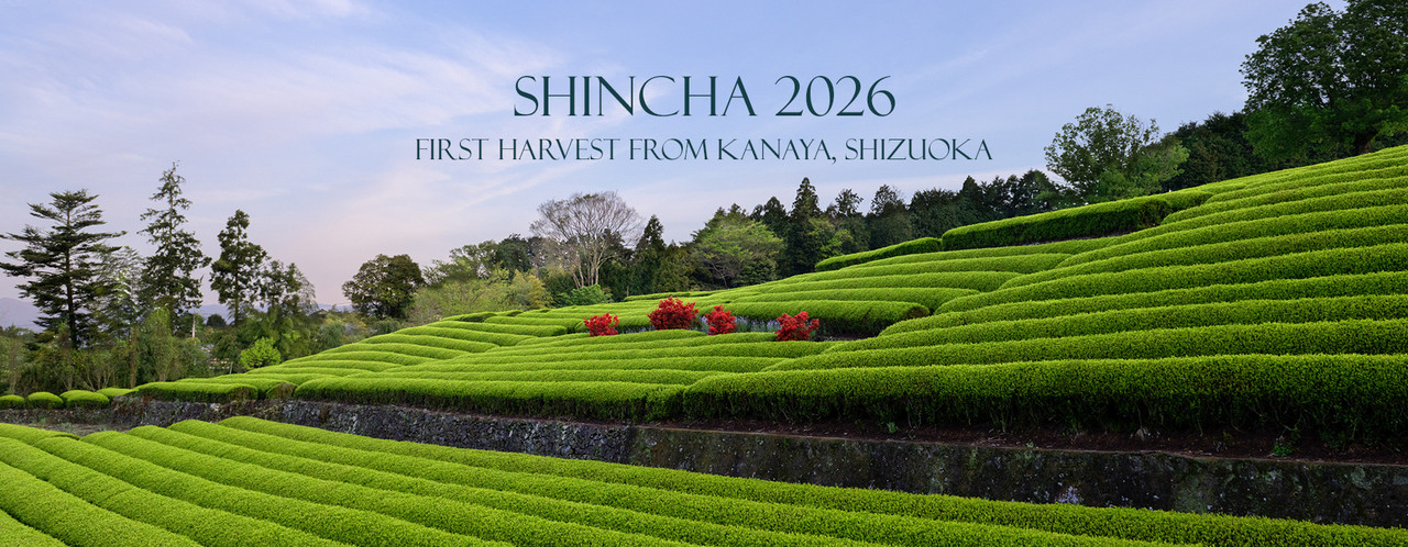 2026 Shincha Collection