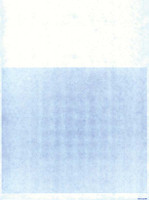 Laser Repair Orders (20#) - Form #LZR-RO