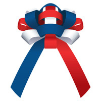 Car Bows - Shiny Vinyl 30" (qty. 1)
