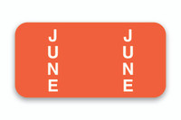 FILE RIGHT Color-Code Month Labels-Ringbook w/270 labels