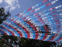 Metallic Streamers: (1-strip per pack)