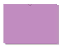 Vehicle Deal Envelopes - DSA-500  (Blank) QTY: 100