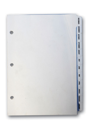 FILE RIGHT Ringbook Month Divider