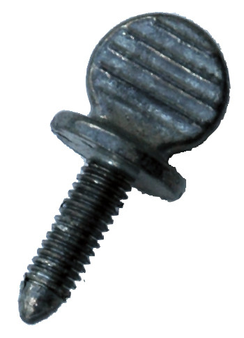 License Plate Screws - American -  25 Per Box