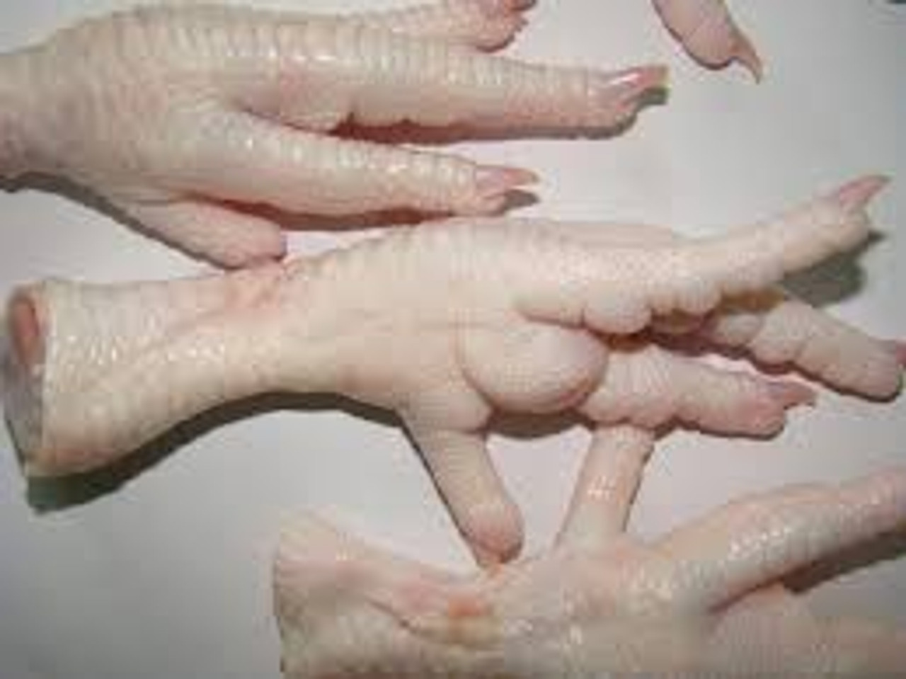 raw chicken feet for dogs