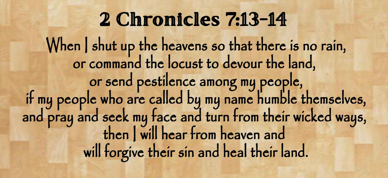 The answer to all our problems... The answer to all our problems...