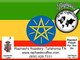 Certified Fair Trade Organic Ethiopian Yirgacheffe.