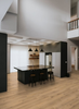 Revêtement de Sol stratifié Chêne Cottage - 88797, Prix par colis ( 2.493 m²)