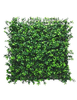 Haie Artificielle  - Buis Anglais CCGA033L