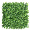 Mur végétal Tuja 50x50 cm - Feuillage dense et réaliste