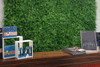 Mur vert Znakocica 50x50 cm - Détail botanique réaliste