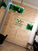 Mur végétal en lierre 50x50 cm - Installation murale