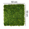 Mur vert Wronóg 50x50 cm - Dimensions et coupe