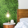 Mur vert Zmienka 50x50 cm – présentation en environnement naturel