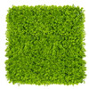 Mur végétal Chmiel 50x50 cm - Détail du panneau végétal en mousse