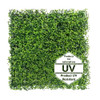 Tapis vert artificiel Rzęsa UV 50x50 cm, vue de face sur fond blanc