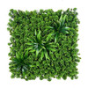 Mur végétal succulent 50x50 cm – Panneau compact et stylé pour intérieur